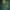Minimalist Casual T-shirt Pria green photo 4