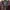 Casual Windbreaker Pria burgundy photo 4