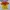 Nike Sportswear Casual Jersey Pria multicolor photo 2