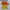 Nike Sportswear Casual Jersey Pria multicolor photo 1
