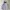 Nike Vintage Sportswear Windbreaker Pria white navy photo 2