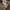 Carhartt Casual Swimwear Pria brown photo 7