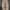 Carhartt Casual Swimwear Pria brown photo 1