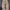 Carhartt Casual Swimwear Pria Brown
