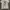 Adidas Casual T-shirt Pria white photo 1