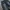 Streetwear Skater Jeans Pria navy black photo 3