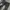 Vintage Streetwear Jeans Pria black gray photo 7