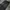 Streetwear Skater Jeans Pria black gray photo 7