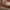 Adidas Vintage Y2K Bag Pria brown photo 2