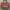 Adidas Vintage Y2K Bag Pria brown photo 1
