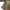 Carhartt Vintage Casual Parka Pria tan khaki photo 5