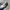 Louis Vuitton Luxury Casual Sneakers Pria white photo 1