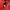 Adidas Casual Windbreaker Pria red black photo 6