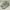 Adidas Sportswear Casual Pria multicolor photo 1