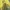 Y2K Skater T-shirt Pria yellow photo 3