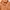 Cabane de Zucca Casual Casual shirt Pria orange photo 5