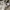 Levi's Streetwear Casual Casual pants Pria tan photo 4