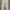 Levi's Streetwear Casual Casual pants Pria tan photo 1