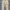 Levi's Streetwear Casual Casual Pants Pria Tan
