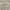 Levi's Streetwear Casual Casual pants Pria tan photo 7