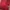 Carhartt Streetwear T-shirt Pria red photo 1