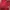 Carhartt Streetwear T-shirt Pria Red