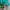 Sportswear Track jacket Pria green navy photo 4