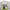 Stussy Streetwear Casual Sweatshirt Pria gray photo 2