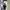 Nike Vintage Y2K T-shirt Pria navy black photo 5