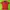 Minimalist Casual Polo shirt Pria red photo 1