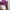 Champion Streetwear Casual Sweatshirt Wanita purple photo 4
