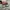 Nike Streetwear Sneakers Pria green photo 4