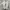 Onitsuka Tiger Streetwear Sneakers Pria white photo 5