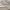 Adidas Casual Sneakers Pria white photo 7