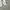 Wilson Vintage Casual Other Pria white photo 4