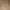 Levi's Casual Casual pants Pria tan photo 6