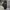 Vintage Y2K Jeans Pria white black photo 4