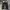 Coogi Y2K Grunge Jeans Pria black yellow photo 1