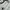 Adidas Sportswear Jersey Pria White Black
