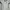 Adidas Sportswear Jersey Pria white black photo 1