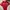 Sportswear Jersey Pria white red photo 1