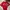 Sportswear Jersey Pria White Red