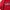 Sportswear Jersey Pria white red photo 2