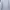 Dickies Streetwear Sweatshirt Pria white photo 2