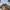 Forever 21 Grunge Indie Bomber jacket Pria green photo 4