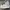 DC Shoes Y2K Grunge Sneakers Pria white photo 1