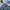 Big John Grunge Indie Denim jacket Pria blue photo 2