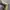 The North Face Sportswear Boots Pria green gray photo 6