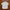 Polo Ralph Lauren Minimalist Polo Shirt Pria White