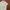 Polo Ralph Lauren Minimalist Polo shirt Pria white photo 2